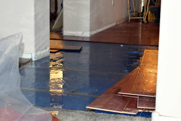 Professional Burst Pipe Cleanup technician working in Steeleville, IL
