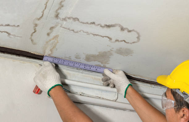 Reliable Burst Pipe Cleanup contractor in Steeleville, IL by Water Damage Irwin